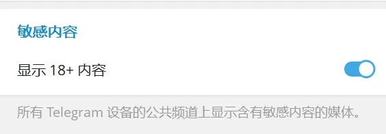 电脑版解除敏感限制选项